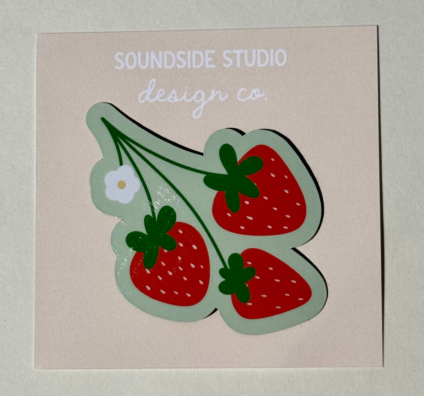 Strawberry Magnet